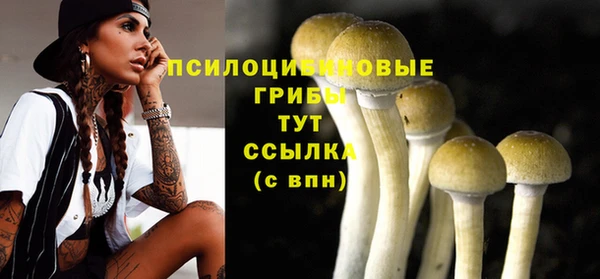 амфетамин Нея