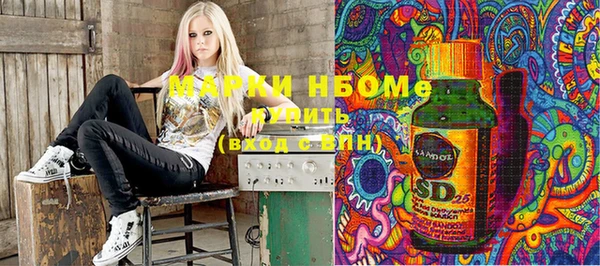 дмт Новодвинск