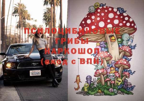 эйфоретик Нефтекумск