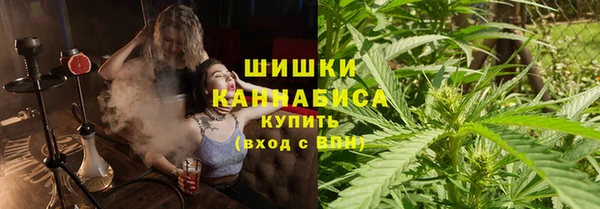 дмт Новодвинск