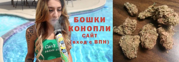 дмт Новодвинск