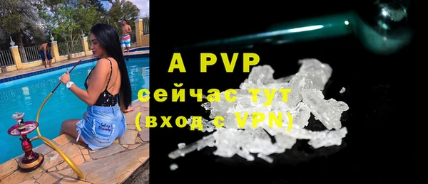 дмт Новодвинск