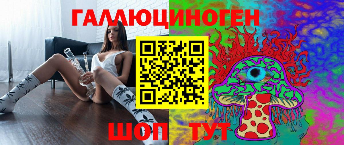 купить   Магадан  Псилоцибиновые грибы GOLDEN TEACHER  Псилоцибиновые грибы MAGIC MUSHROOMS 